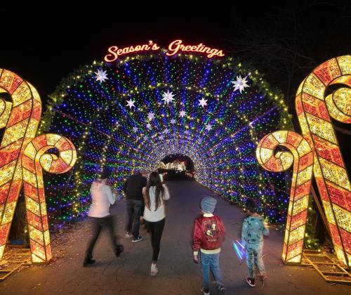 A festive light display with candy cane arches and "Season's Greetings" sign, as families walk through at night.