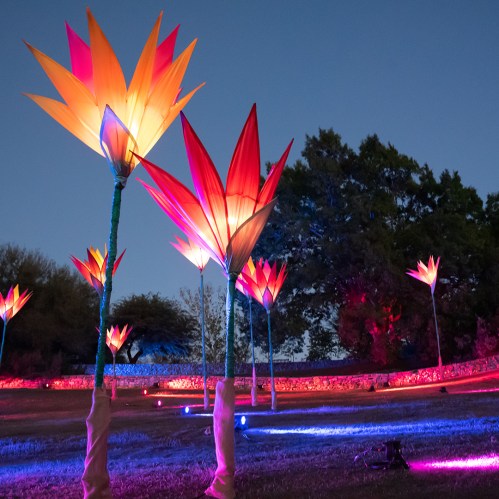 Colorful illuminated flower sculptures in a garden at night, surrounded by vibrant lighting and trees.