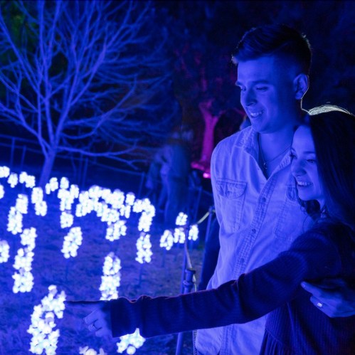 A couple smiles together in a garden illuminated by blue lights, surrounded by glowing flowers at night.