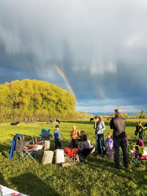 A group of people gathered around a campfire in a field, with a rainbow arching over a cloudy sky and cows in the background.