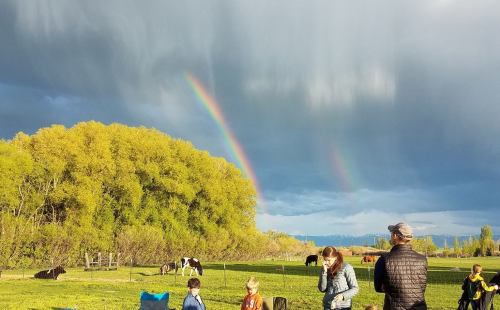 A rainbow arcs over a green field with people and cows, under a cloudy sky with hints of sunlight.