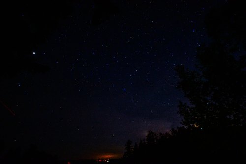A starry night sky filled with twinkling stars, with silhouettes of trees in the foreground and distant lights on the horizon.