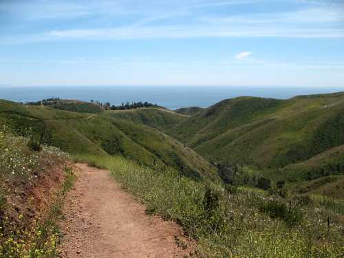 A winding dirt path through lush green hills, leading to a view of the ocean under a clear blue sky.