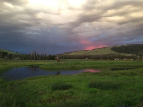 A serene landscape featuring a pond, green fields, and dramatic clouds at sunset, with a hint of pink in the sky.