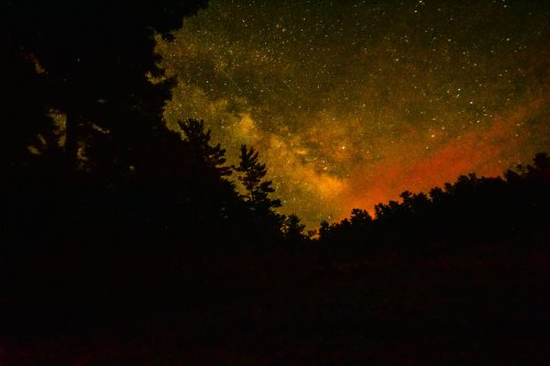 A starry night sky with the Milky Way visible, framed by dark silhouettes of trees against an orange glow.