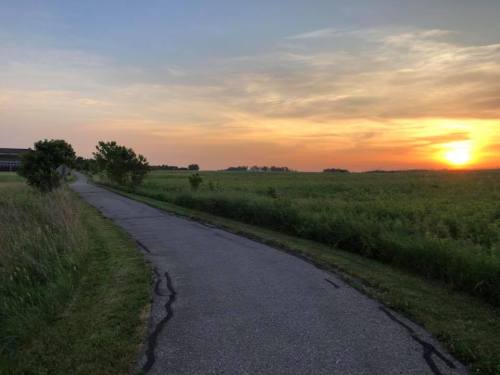 A winding path through a grassy field at sunset, with a warm glow on the horizon and trees lining the way.