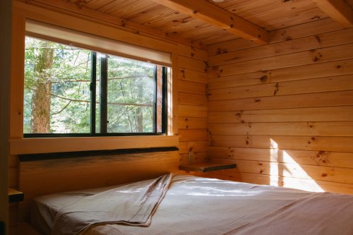 Cozy wooden cabin interior with a bed and large window overlooking trees. Natural light fills the space.