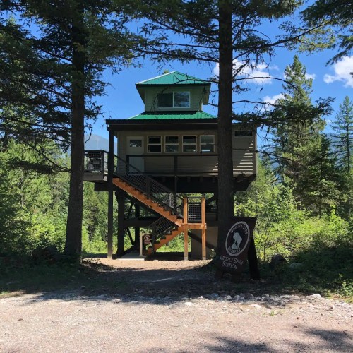 A wooden lookout station with a green roof, surrounded by trees and a gravel path, under a clear blue sky.