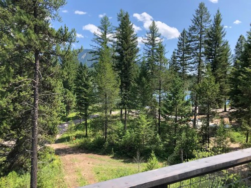 A scenic view of a forested area with tall trees, a clear blue sky, and a glimpse of water in the background.
