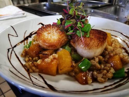 Seared scallops atop a bed of grains and vegetables, garnished with microgreens and a drizzle of sauce.