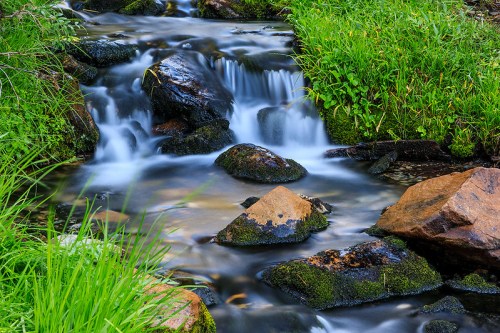 A serene stream flows over smooth rocks, surrounded by lush green grass and vibrant foliage.