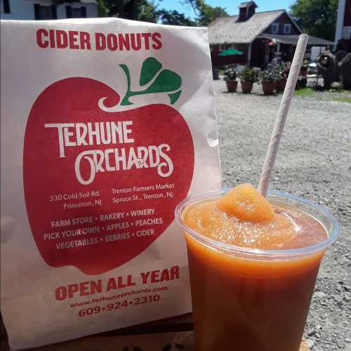 A paper bag with an apple logo next to a cup of cider slush, set outdoors at Terhune Orchards.