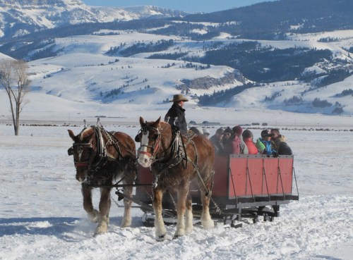 A horse-drawn sleigh carries passengers through a snowy landscape with mountains in the background.