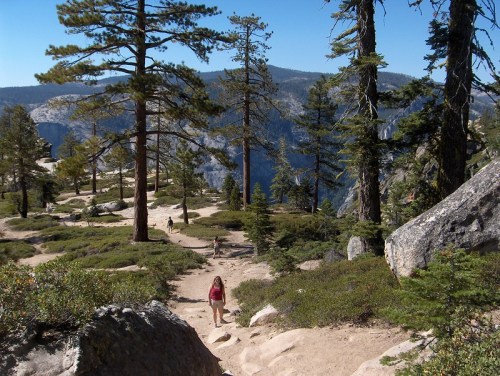 A hiker walks along a rocky trail surrounded by tall trees and mountains in a sunny landscape.