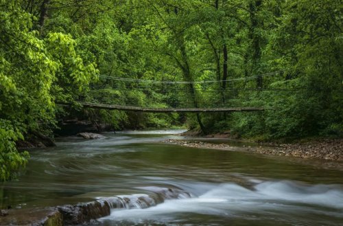 A serene river flows under a wooden suspension bridge, surrounded by lush green trees and a peaceful natural landscape.