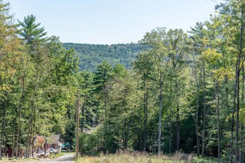 A serene forest scene with tall trees and a distant mountain under a clear blue sky. A dirt road leads into the woods.