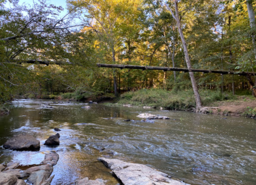 A serene river flows through a wooded area, with a fallen tree arching over the water and colorful autumn foliage.