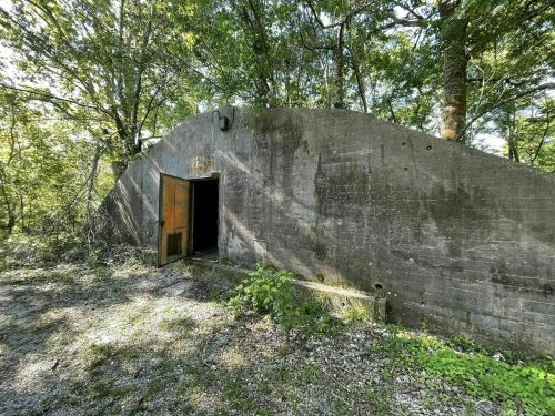 A weathered concrete structure with an open door, surrounded by trees and overgrown vegetation.