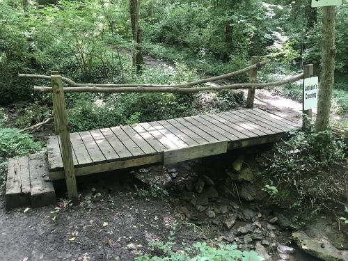 A wooden bridge over a small stream in a lush, green forested area.