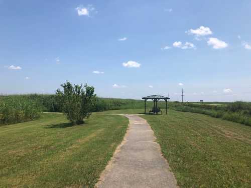 A paved path leads to a gazebo surrounded by tall grass and blue skies with a few clouds.