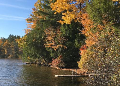 A serene lake scene with vibrant autumn foliage reflecting on the water under a clear blue sky.
