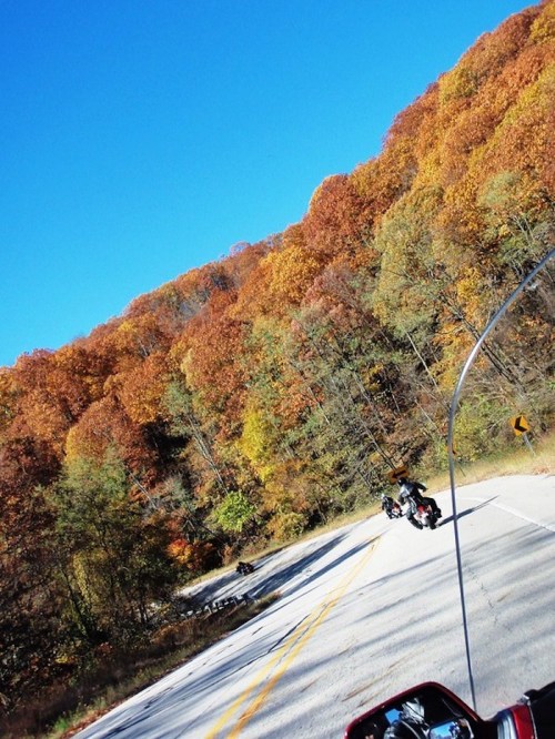 A winding road through vibrant autumn foliage, with a motorcycle navigating a curve under a clear blue sky.