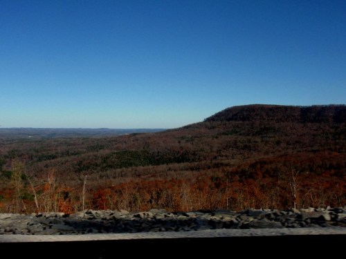 A scenic view of rolling hills and bare trees under a clear blue sky, captured from a moving vehicle.