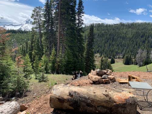 A scenic view of a forested landscape with a large log in the foreground and distant mountains under a blue sky.