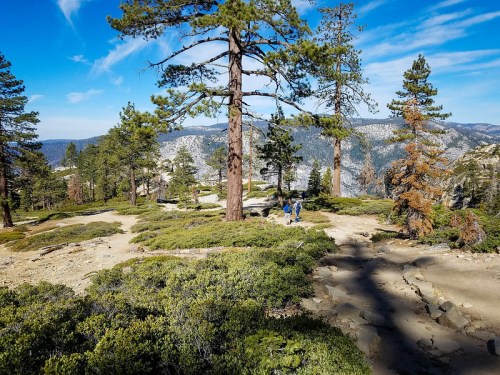 Two hikers walking on a rocky trail surrounded by tall pine trees and lush greenery, with mountains in the background.