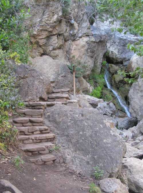 Stone steps lead up a rocky path beside a small waterfall and lush greenery.