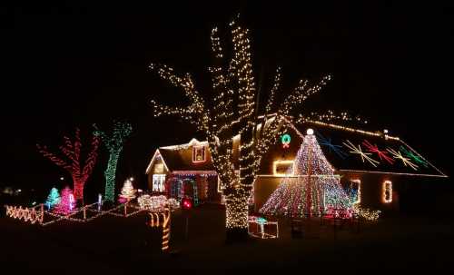 A house decorated with colorful Christmas lights, featuring trees and festive displays in a nighttime setting.