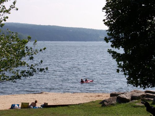 A serene beach scene with a sandy shore, green trees, and a person kayaking on calm water.