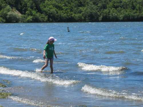 A child in a green shirt wades through shallow water, with gentle waves and greenery in the background.