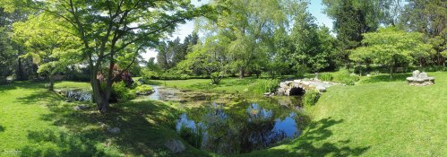 A serene garden scene featuring a pond, lush greenery, and a stone bridge under a clear blue sky.