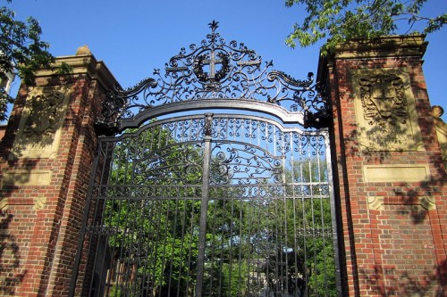 Ornate wrought iron gate with brick pillars, surrounded by greenery and a clear blue sky.