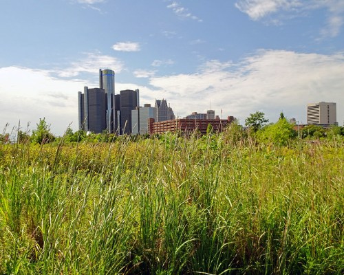 A view of a city skyline with tall buildings, framed by lush green grass and a clear blue sky.