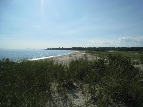 A serene beach scene with gentle waves, sandy shore, and lush grass under a clear blue sky.