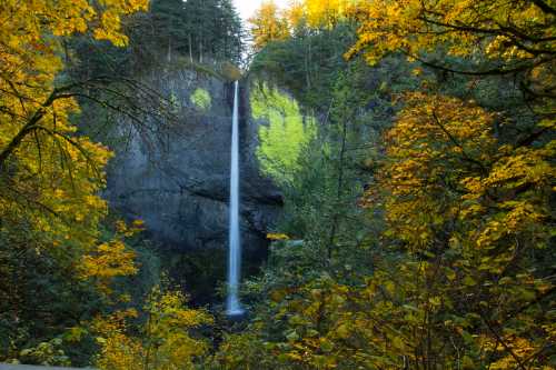 A tall waterfall cascades down rocky cliffs, surrounded by vibrant autumn foliage in shades of yellow and green.