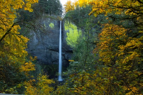 A tall waterfall cascades down rocky cliffs, surrounded by vibrant autumn foliage in shades of yellow and green.