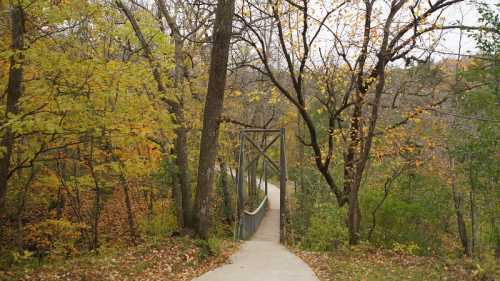 A winding path leads to a metal bridge surrounded by trees with autumn leaves.