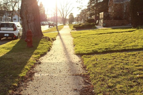A sunlit sidewalk lined with grass and trees, with parked cars and a fire hydrant in the background.