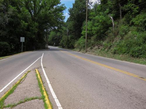 A winding road surrounded by greenery, with trees lining both sides and a clear blue sky above.
