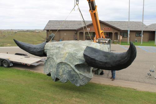 A large, sculpted buffalo skull being lifted by a crane, with a building and grassy area in the background.