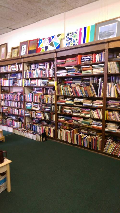 A cozy bookstore with wooden shelves filled with a variety of books, framed art, and a green carpeted floor.