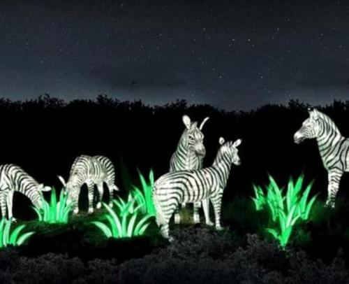 A group of glowing zebras in a dark landscape, surrounded by luminous green plants under a starry sky.