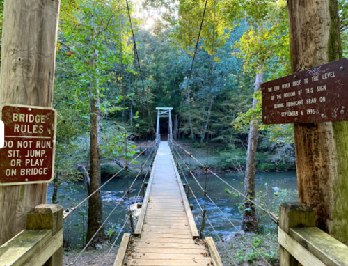 A wooden suspension bridge over a river, surrounded by trees, with signs about bridge rules on either side.