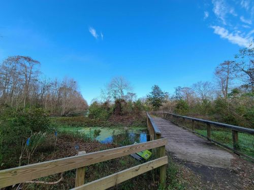 A wooden bridge over a wetland area, surrounded by trees and blue sky. Green water and vegetation are visible.
