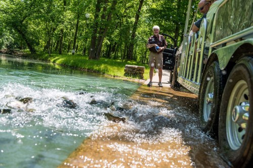 A man stands by a truck near a river, with water splashing from the vehicle's tires in a lush green park setting.