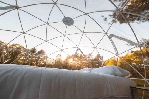Interior view of a transparent geodesic dome with a bed, surrounded by trees and sunlight filtering through.