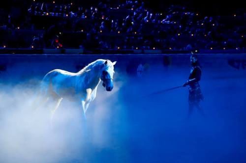 A white horse stands in a misty arena, with a performer in dark attire guiding it under dramatic lighting.